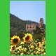 Rocca di Pierle