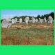 Carnac