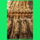 Reims