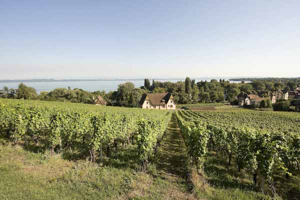 Lago di Neuchâtel