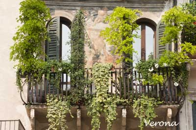 Verona - Piazza Erbe