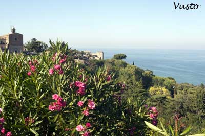 Vasto