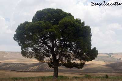 Basilicata