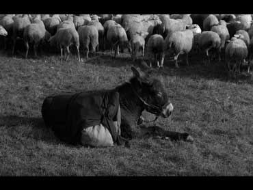 Au hasard Balthazar - Bresson