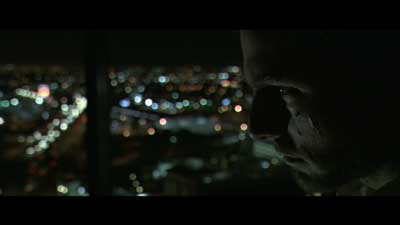 Collateral - Michael Mann: Tom Cruise