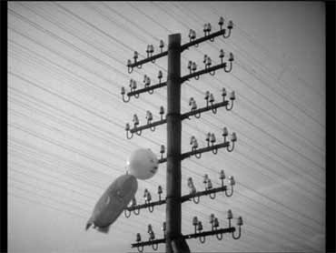 M (Il mostro di Düsseldorf) - Fritz Lang