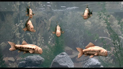 Monty Python - Il senso della vita (Monty Python's The Meaning Of Life)