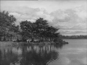 La signora di Musashino (Musashino fushin) - Mizoguchi