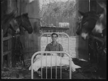 Steamboat Bill Jr (Io e il ciclone) - Buster Keaton