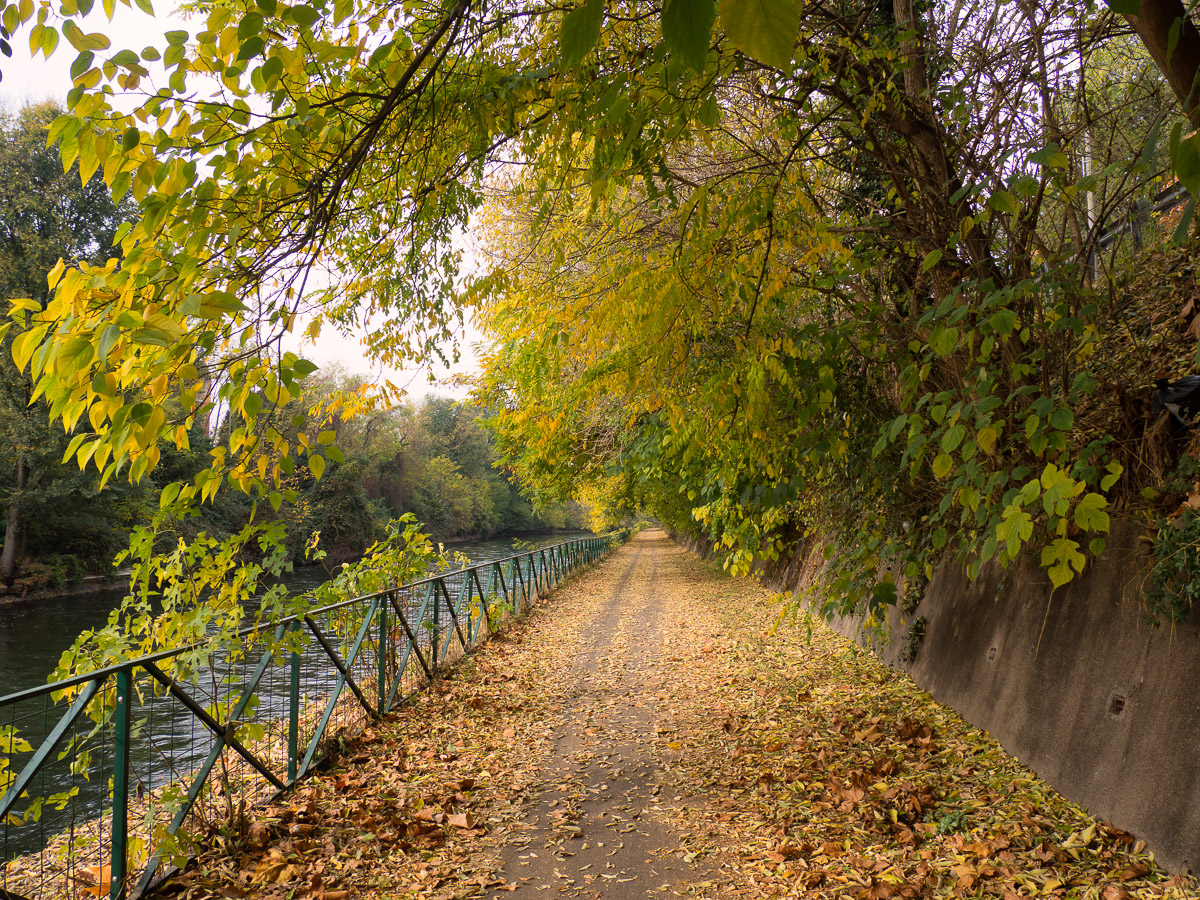 Bikeway along the Naviglio Grande at Ponte Vecchio (Magenta)