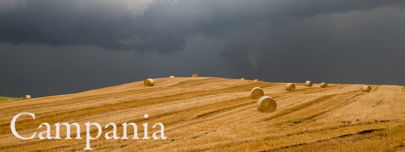 Campania