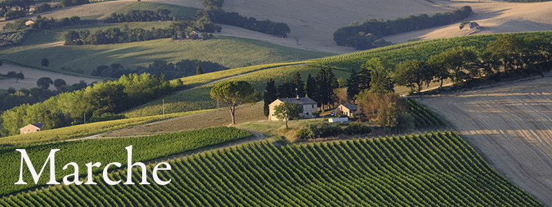Marche