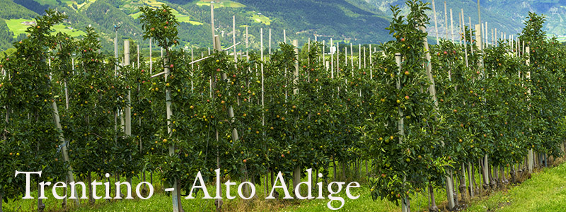 Trentino Alto Adige